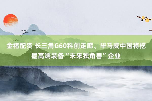 金猪配资 长三角G60科创走廊、毕马威中国将挖掘高端装备“未来独角兽”企业