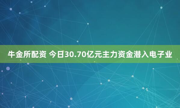 牛金所配资 今日30.70亿元主力资金潜入电子业