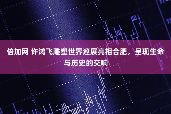 倍加网 许鸿飞雕塑世界巡展亮相合肥，呈现生命与历史的交响