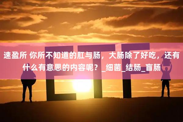 速盈所 你所不知道的肛与肠，大肠除了好吃，还有什么有意思的内容呢？_细菌_结肠_盲肠