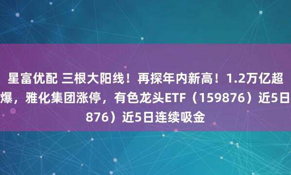 星富优配 三根大阳线！再探年内新高！1.2万亿超级工程引爆，雅化集团涨停，有色龙头ETF（159876）近5日连续吸金