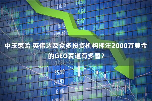 中玉束哈 英伟达及众多投资机构押注2000万美金的GEO赛道有多香？