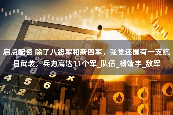 启点配资 除了八路军和新四军，我党还握有一支抗日武装，兵力高达11个军_队伍_杨靖宇_敌军