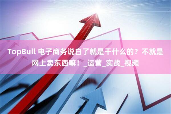 TopBull 电子商务说白了就是干什么的？不就是网上卖东西嘛！_运营_实战_视频