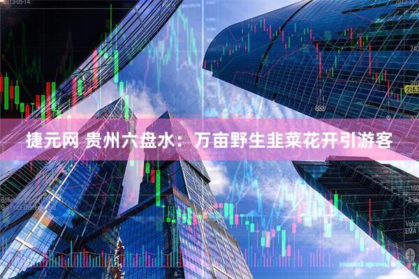 捷元网 贵州六盘水：万亩野生韭菜花开引游客
