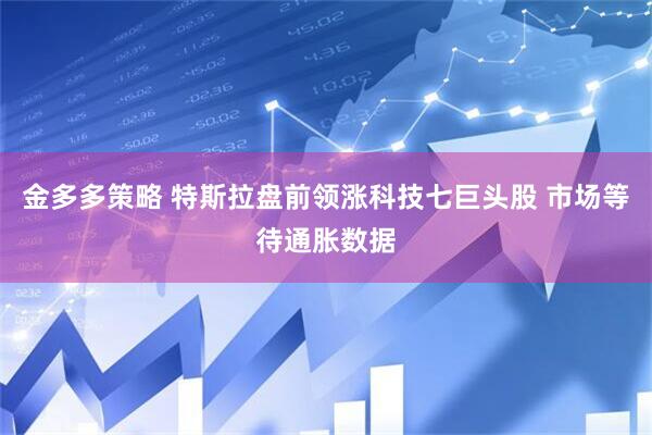 金多多策略 特斯拉盘前领涨科技七巨头股 市场等待通胀数据