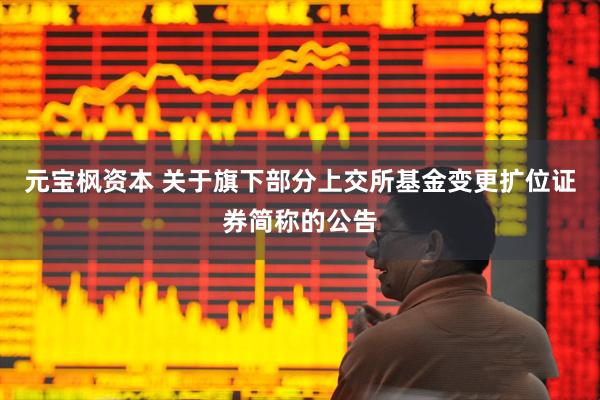 元宝枫资本 关于旗下部分上交所基金变更扩位证券简称的公告