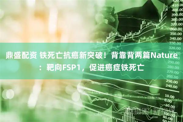 鼎盛配资 铁死亡抗癌新突破！背靠背两篇Nature：靶向FSP1，促进癌症铁死亡