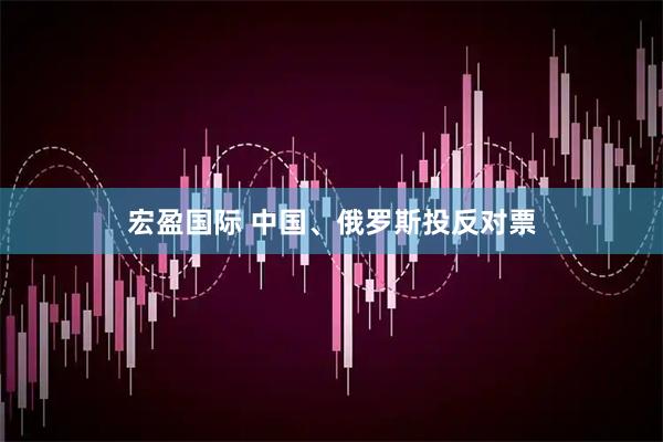 宏盈国际 中国、俄罗斯投反对票