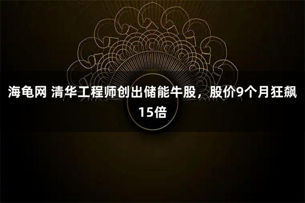 海龟网 清华工程师创出储能牛股，股价9个月狂飙15倍