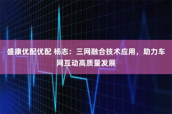 盛康优配优配 杨志:三网融合技术应用,助力车网互动高质量发展