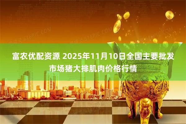 富农优配资源 2025年11月10日全国主要批发市场猪大排肌肉价格行情