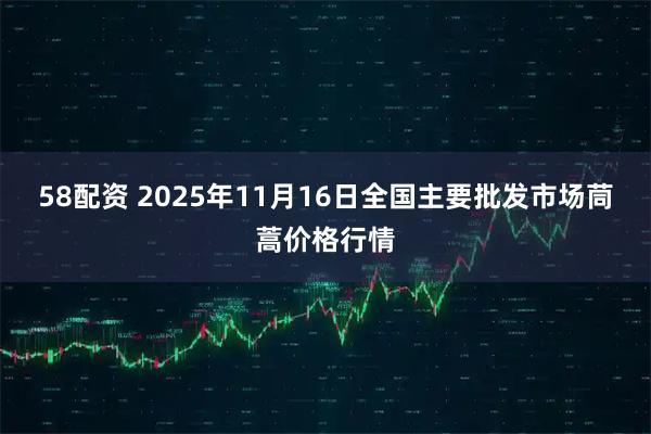 58配资 2025年11月16日全国主要批发市场茼蒿价格行情